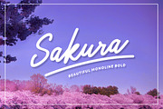 Sakura Bold