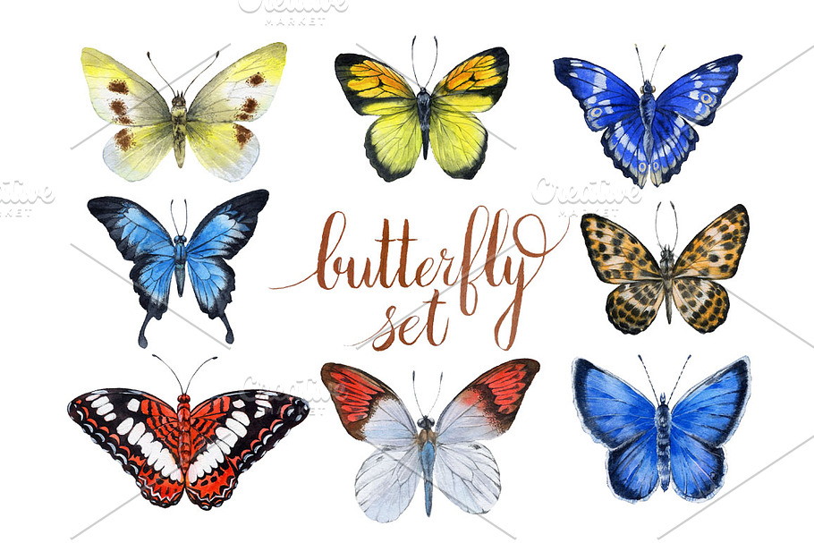 Butterfly in Illustrations - product preview 8