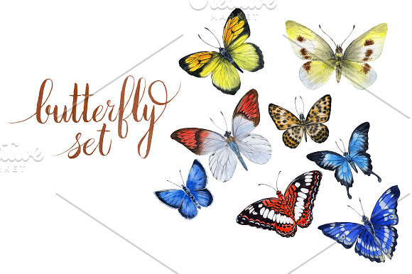 Butterfly in Illustrations - product preview 1