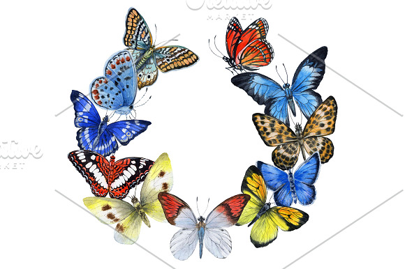 Butterfly in Illustrations - product preview 3