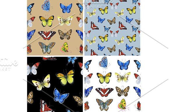 Butterfly in Illustrations - product preview 5
