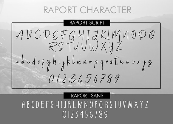 Raport Script (Duo Font + Extra) in Script Fonts - product preview 6