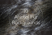 Animal Fur Backgrounds