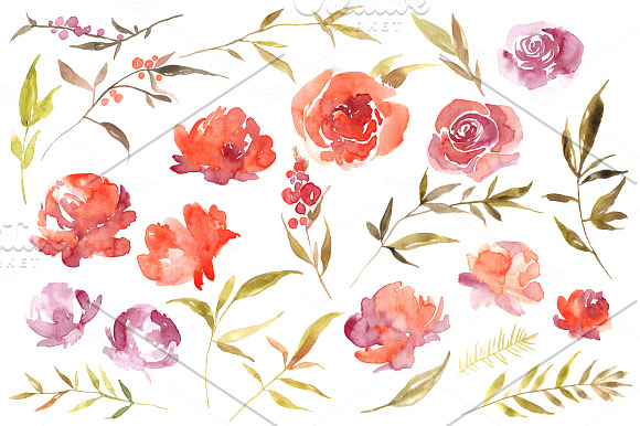Watercolor red scarlet flowers in Graphics - product preview 1
