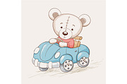 cute funny bear drive a car