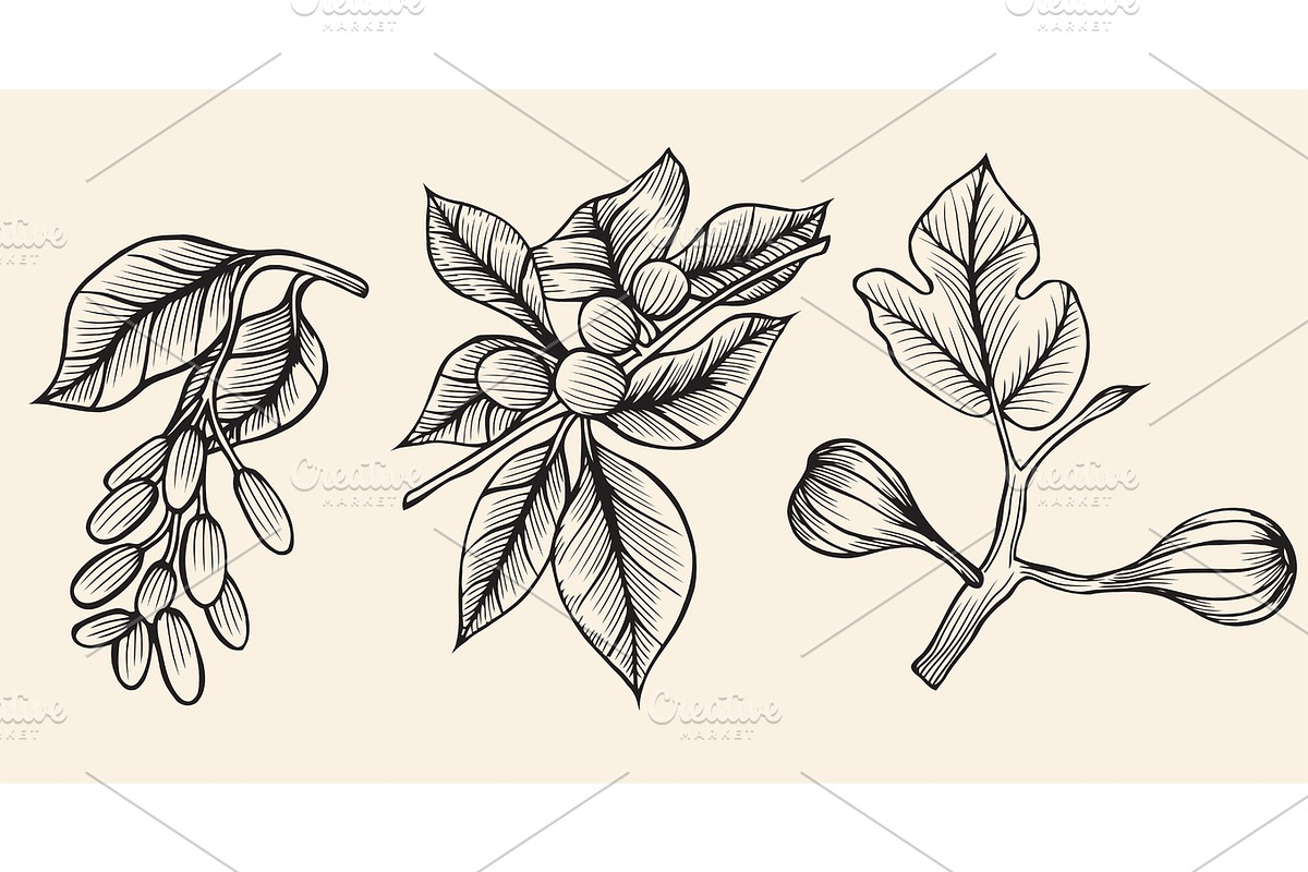 Vector collection illustration. in Illustrations - product preview 8
