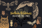 Northern Wilderness Collection: Owls