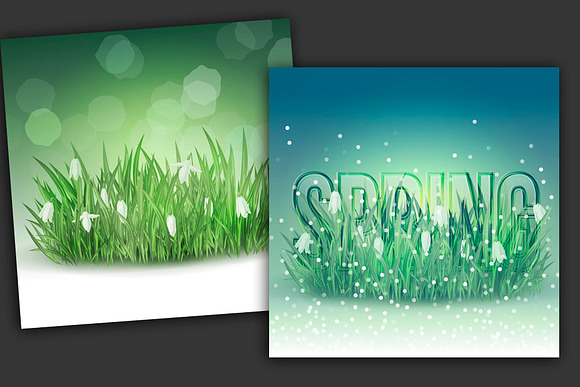 Set of backgrounds with snowdrops in Illustrations - product preview 1