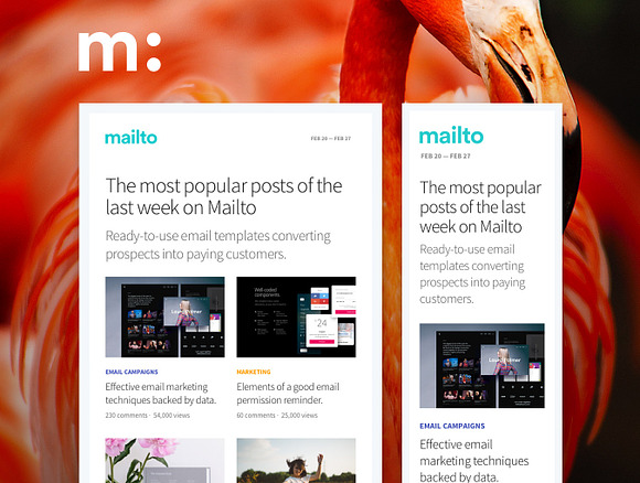 17 Responsive HTML Email Templates in Mailchimp Templates - product preview 15