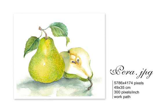 Set of 4 watercolor "Fruits" in Illustrations - product preview 2