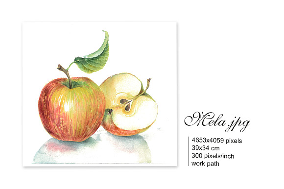 Set of 4 watercolor "Fruits" in Illustrations - product preview 4