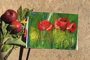 Poppies painted with acrylic