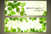 Green leaves banners