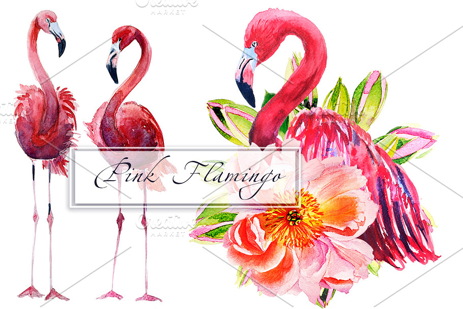 Watercolor Flamingo Set 