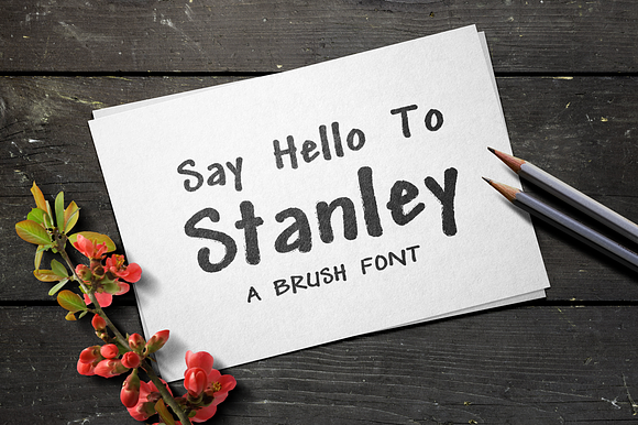 Stanley Brush Font in Script Fonts - product preview 2