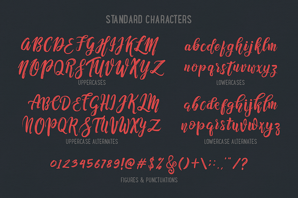 Nafasyah - Brushed Font Duo in Brush Fonts - product preview 3