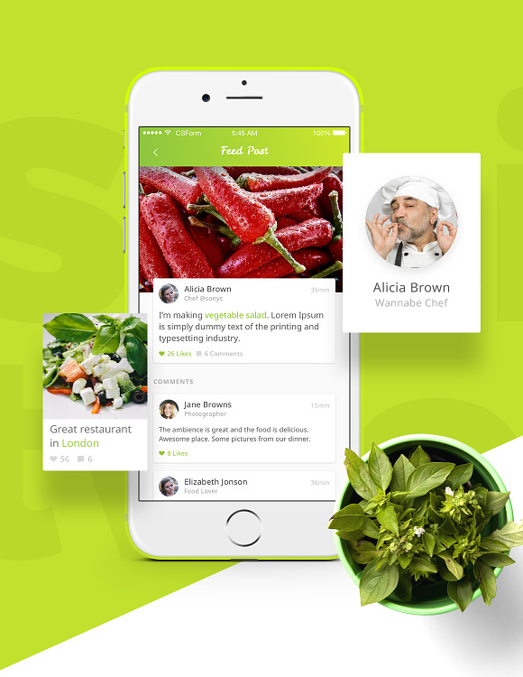 Organic Food UI Kit - 4 in 1 in UI Kits and Libraries - product preview 2