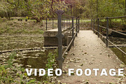 Small concrete bridge in the park. Autumn daytime. Smooth dolly shot