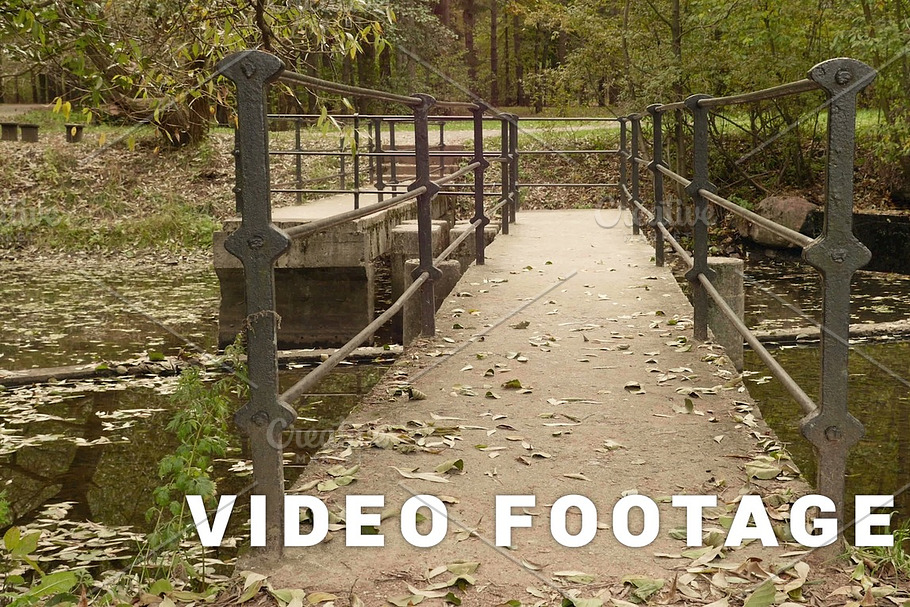 To the bridge. Autumn daytime. Smooth dolly shot in Graphics - product preview 8