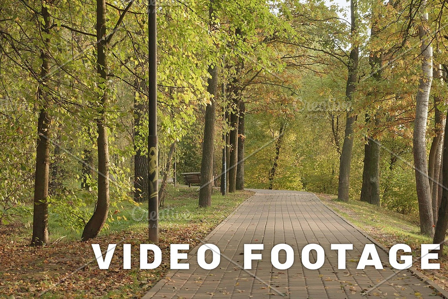 Walkway in the park. Autumn daytime. Smooth dolly shot in Graphics - product preview 8