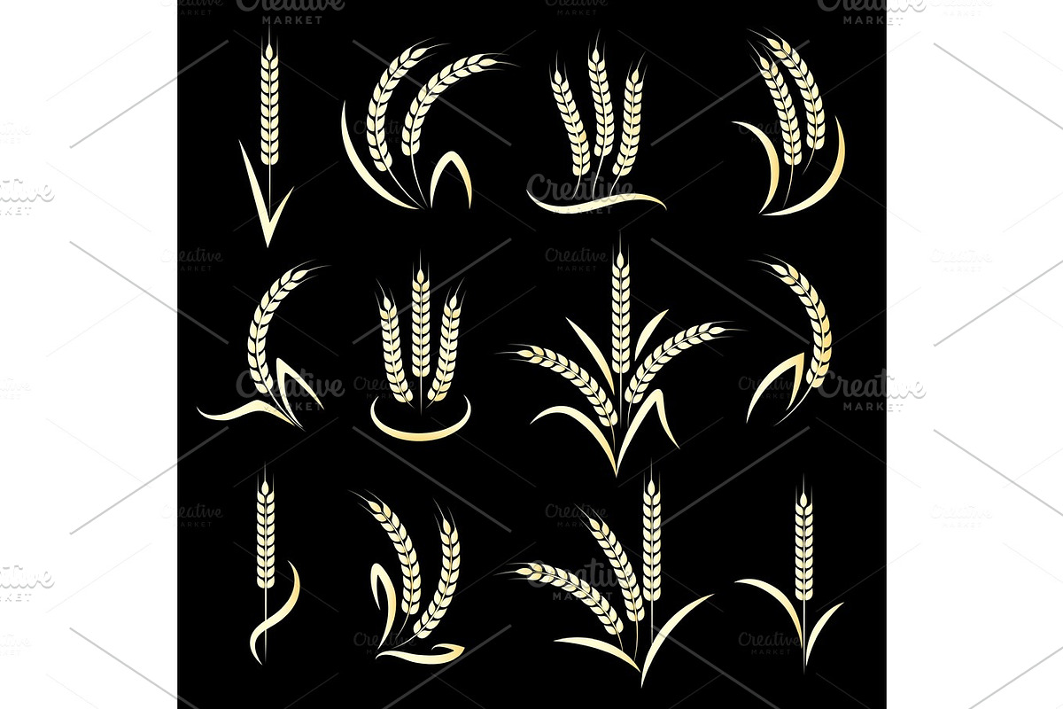 Golden wheat ears on black background in Illustrations - product preview 8