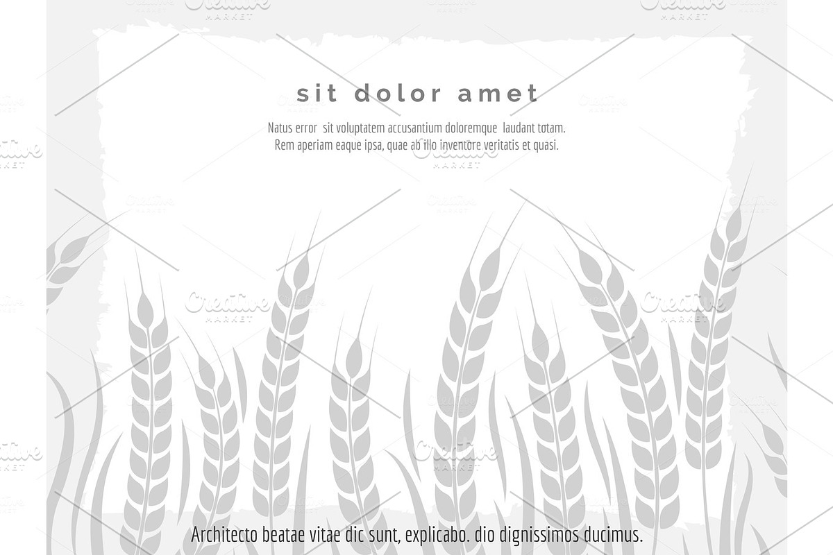 Horizontal agriculture poster with wheat branches in Illustrations - product preview 8