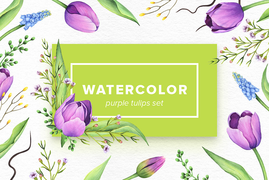 Watercolor Purple Tulips Set in Objects - product preview 8