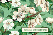 Seamless pattern with apple flowers
