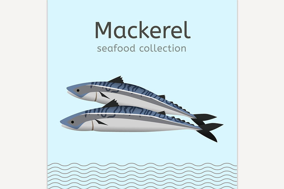 Mackerel Image in Illustrations - product preview 8