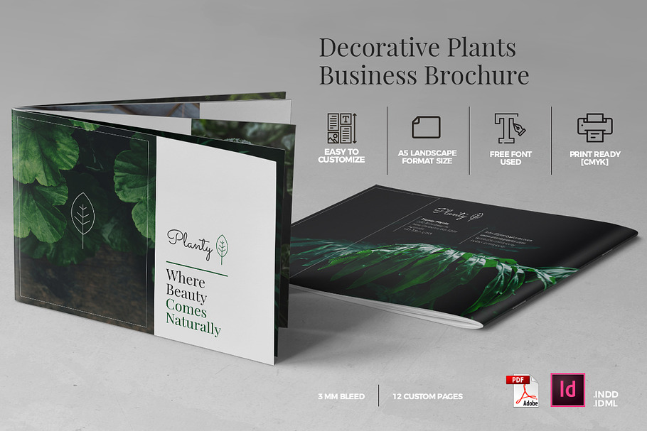 A5 Decorative Plants Brochure in Brochure Templates - product preview 8