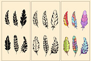 Feathers set vector illustration