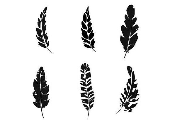 Feathers set vector illustration in Illustrations - product preview 1