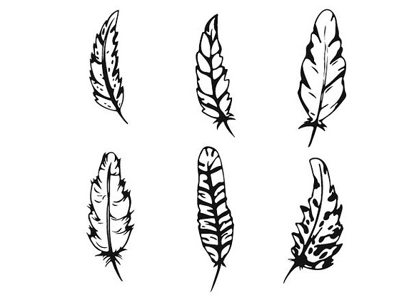 Feathers set vector illustration in Illustrations - product preview 2