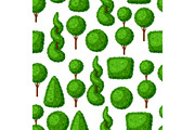 Boxwood topiary garden plants. Seamless pattern with decorative trees