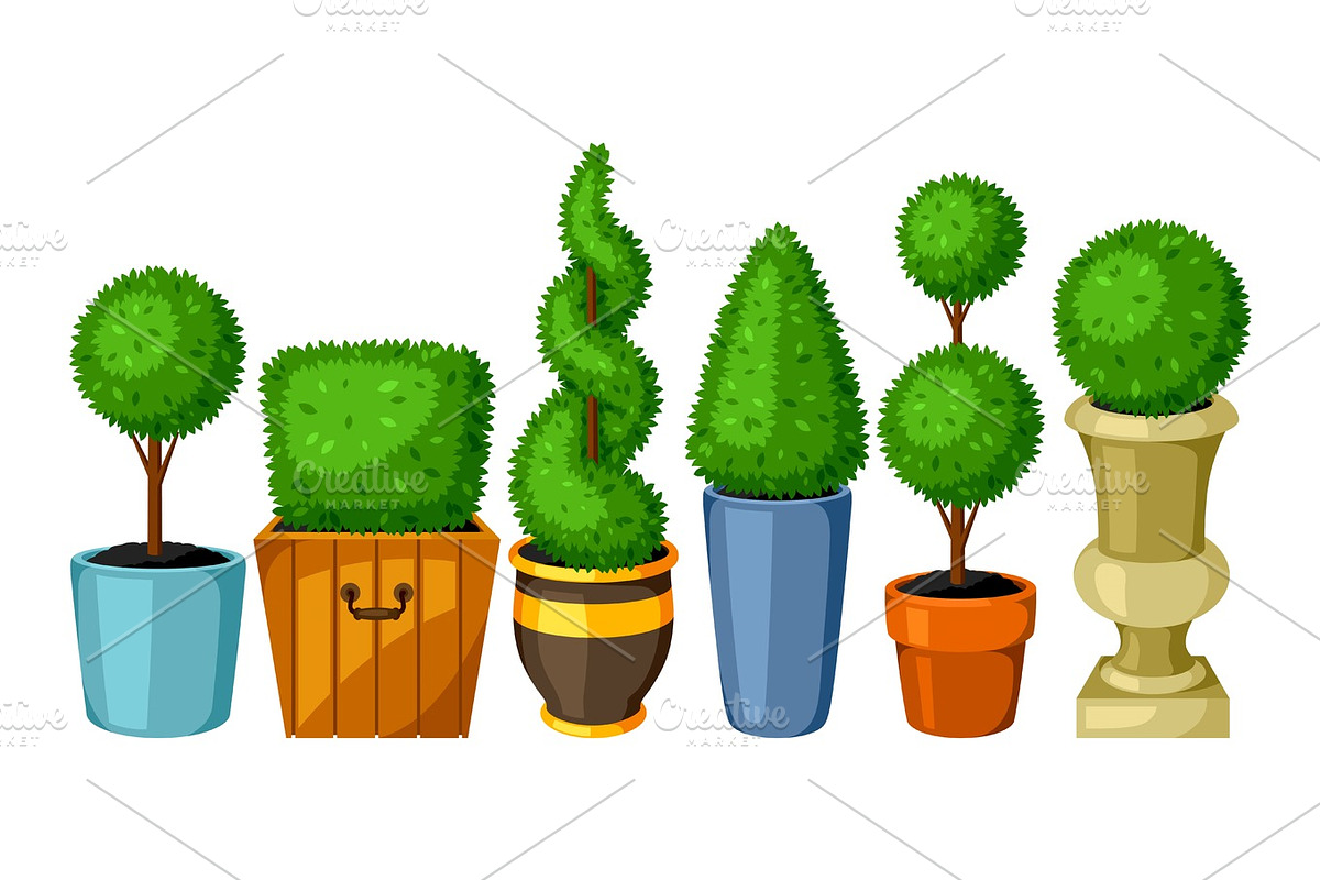 Boxwood topiary garden plants. Set of decorative trees in flowerpots in Objects - product preview 8