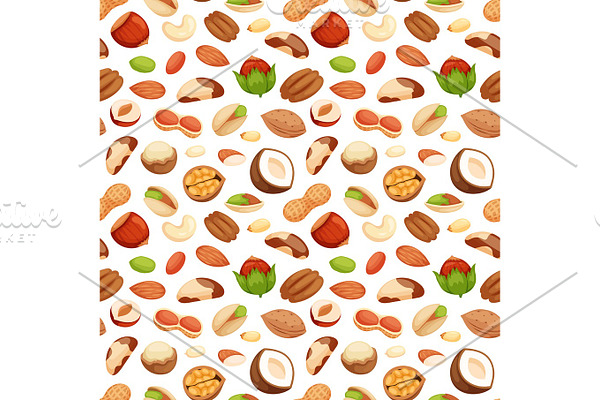 Seamless pattern with illustrations of nuts vector.