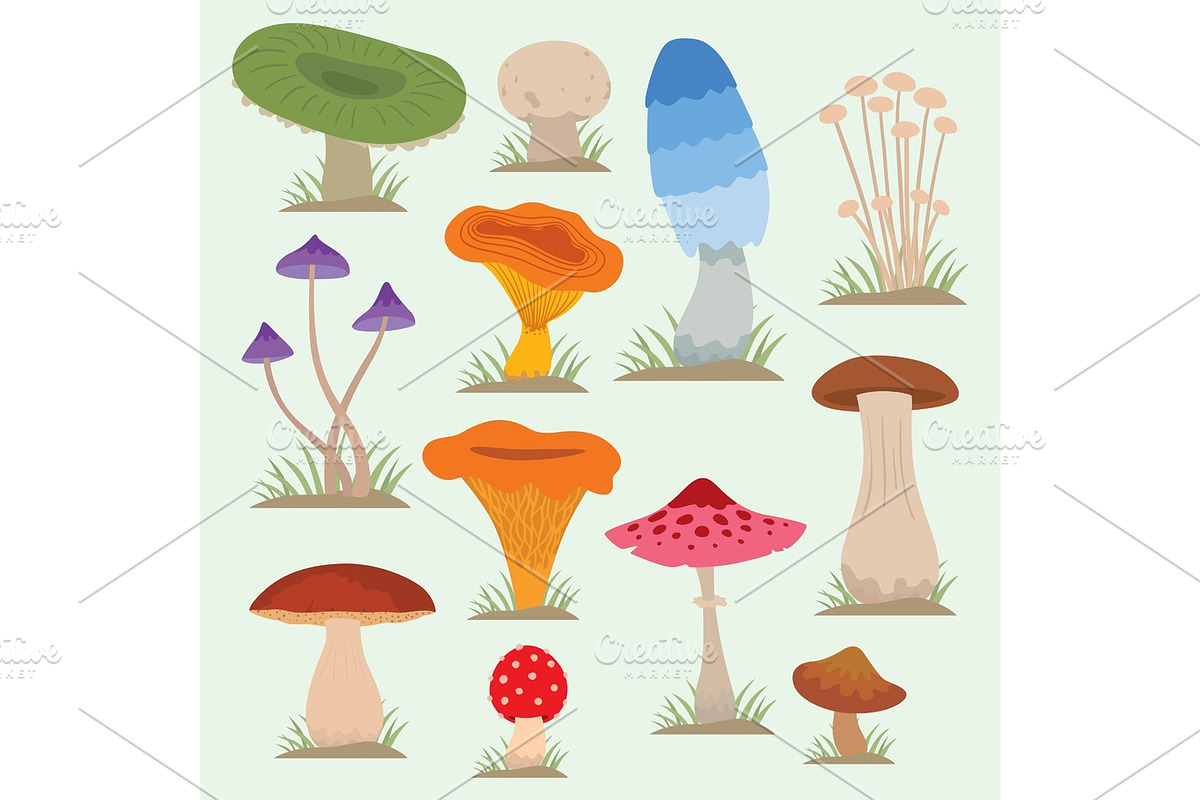 Mushrooms for cook food and poisonous nature meal vegetarian healthy autumn edible and fungus organic vegetable raw ingredient vector illustration. in Illustrations - product preview 8