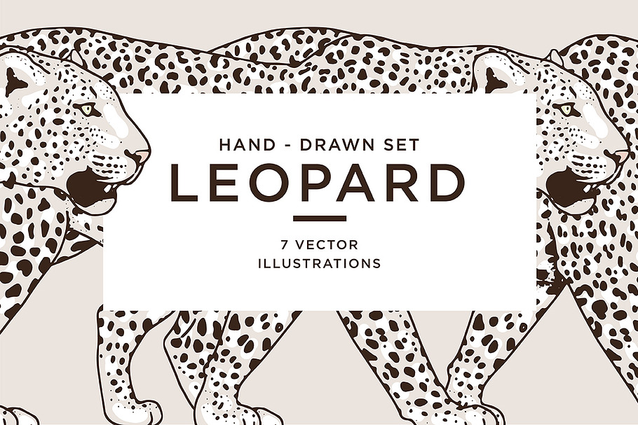 White LEOPARD in Illustrations - product preview 8