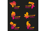 Elegant lilies logo template