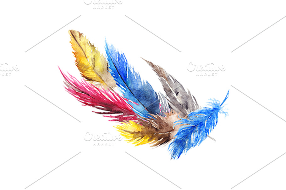 Watercolor feather composition in Illustrations - product preview 8