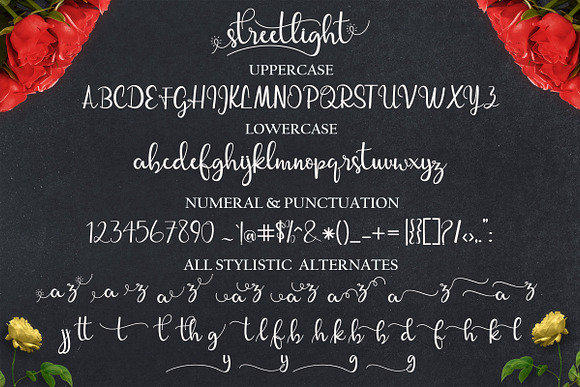 streetlight script in Script Fonts - product preview 8