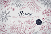 Hand Drawn Rowan Vector Set