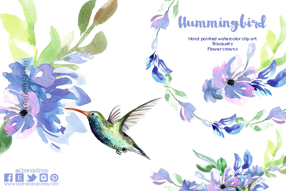 Hummingbird watercolor clip art