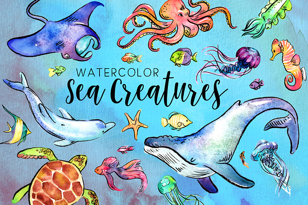 29 Watercolor Sea Creatures