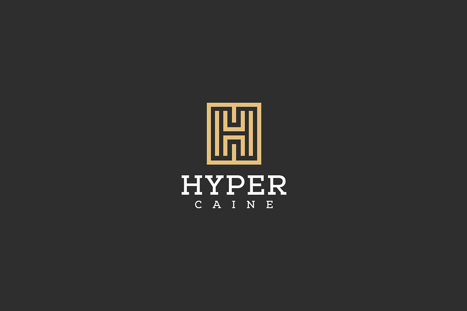 Hyper Caine / Fashion logo in Logo Templates - product preview 8