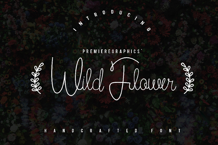 Wild Flower Script in Twitter Fonts - product preview 8
