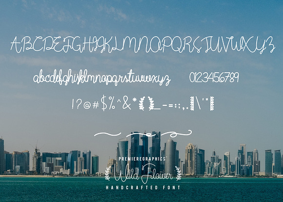 Wild Flower Script in Twitter Fonts - product preview 4