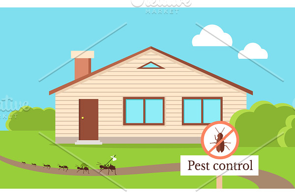 Pest Control Concept with Cockroach Leaving House