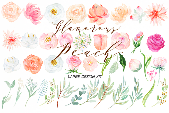 50% OFF Peach peonies Watercolor in Illustrations - product preview 6