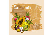 Vector sketch poster exotic tropical fresh fruits
